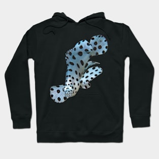 Young fish | Small grouper in the coral reef | Hoodie